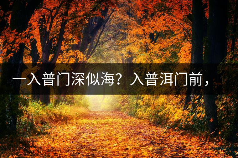 一入普門深似海？入普洱門前，你需要了解這些