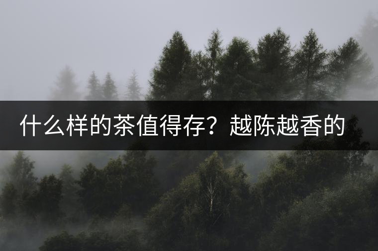 什么樣的茶值得存？越陳越香的本質(zhì)是什么？