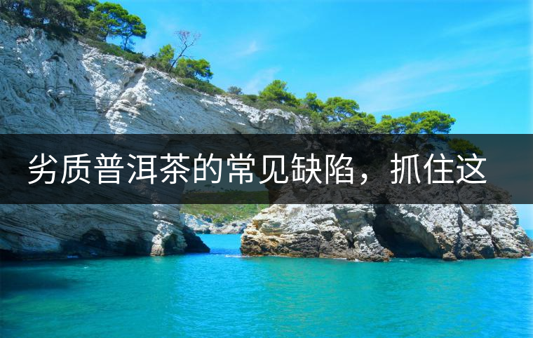 劣質(zhì)普洱茶的常見(jiàn)缺陷，抓住這三個(gè)特征，拒絕劣質(zhì)茶！