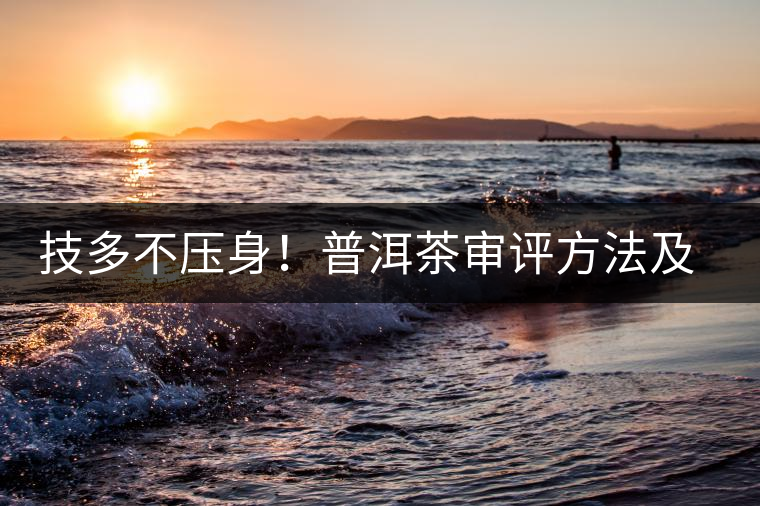 技多不壓身！普洱茶審評(píng)方法及專業(yè)術(shù)語大全（下）