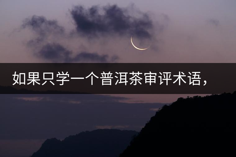 如果只學(xué)一個(gè)普洱茶審評(píng)術(shù)語(yǔ)，那應(yīng)該是什么？