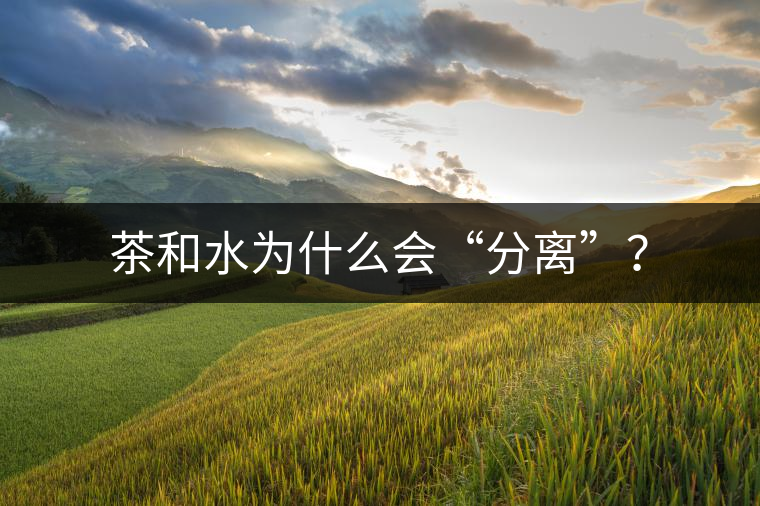 茶和水為什么會(huì)“分離”？