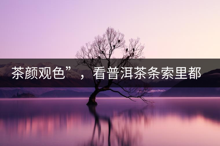 茶顏觀色”，看普洱茶條索里都蘊(yùn)含著怎樣的“密碼”？