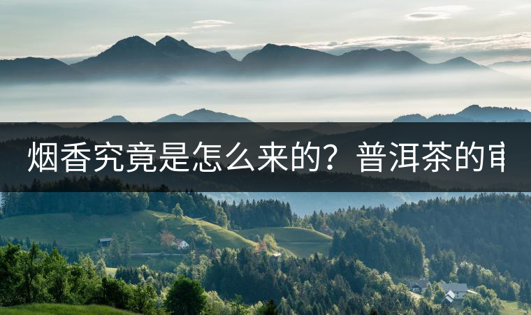 煙香究竟是怎么來(lái)的？普洱茶的審美困局。