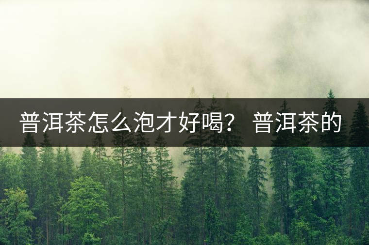 普洱茶怎么泡才好喝？ 普洱茶的沖泡技巧！
