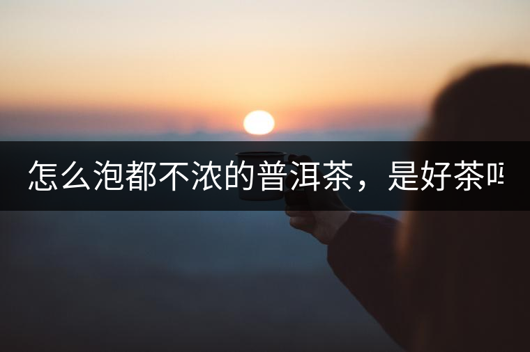 怎么泡都不濃的普洱茶，是好茶嗎？