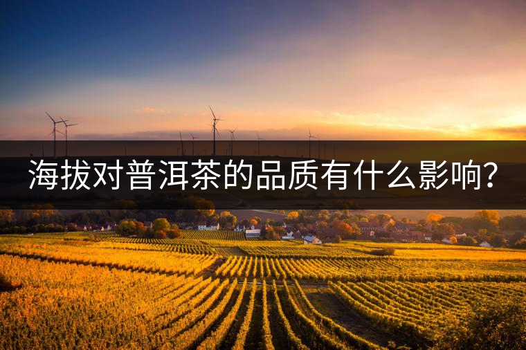 海拔對(duì)普洱茶的品質(zhì)有什么影響？