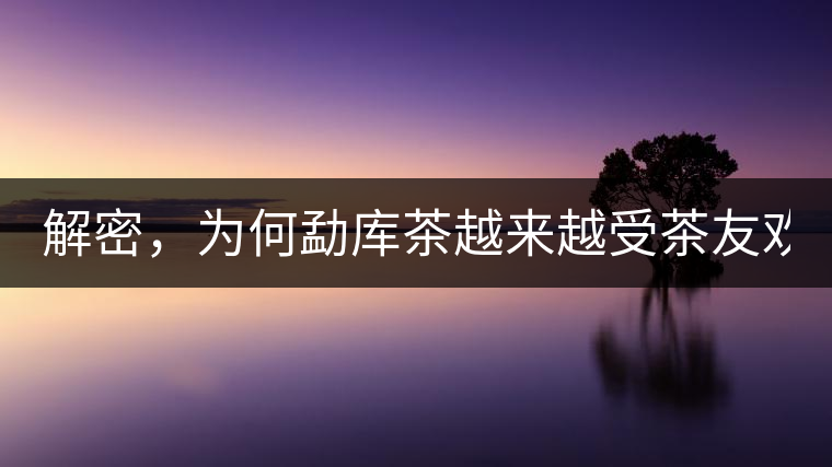 解密，為何勐庫茶越來越受茶友歡迎！