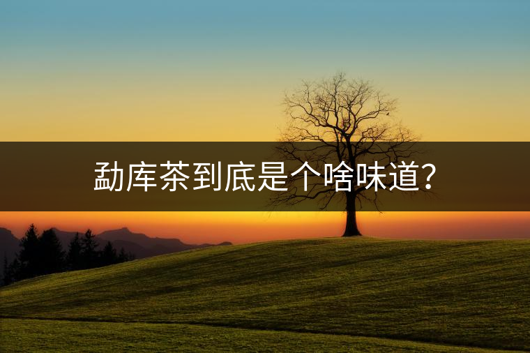 勐庫茶到底是個(gè)啥味道？