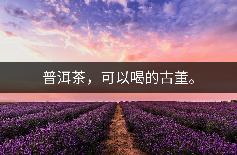 普洱茶，可以喝的古董。