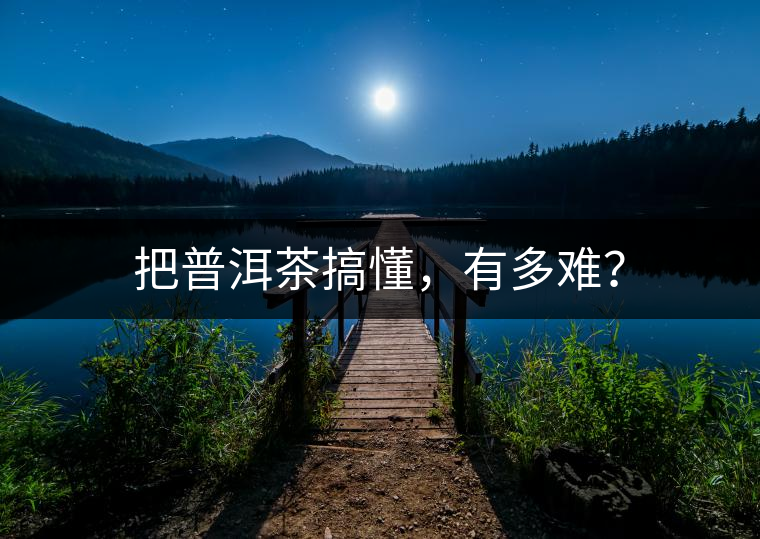 把普洱茶搞懂，有多難？