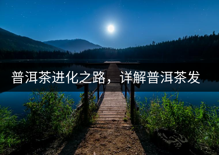 普洱茶進化之路，詳解普洱茶發(fā)展的三大重要階段