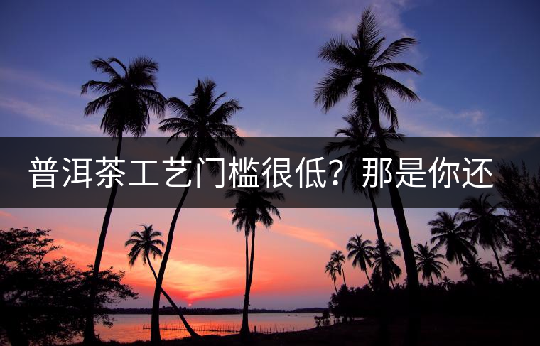 普洱茶工藝門檻很低？那是你還沒有參透工藝與自然之間的奧秘！