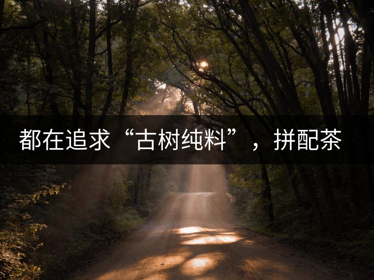 都在追求“古樹純料”，拼配茶真的不如純料的？