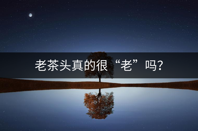 老茶頭真的很“老”嗎？