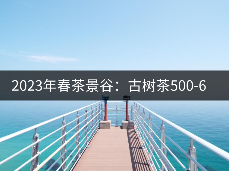 2023年春茶景谷：古樹(shù)茶500-600元／公斤，紫芽茶300-480元／公斤，白芽茶1200-2000元／公斤。