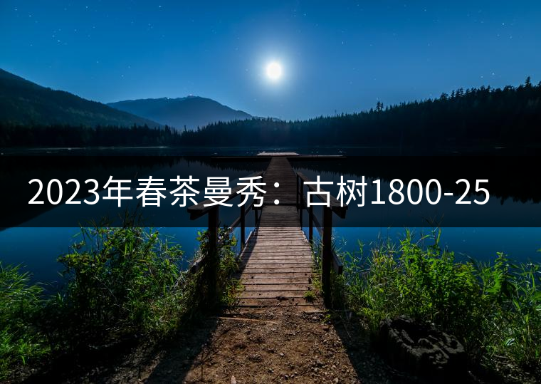 2023年春茶曼秀：古樹(shù)1800-2500元／公斤