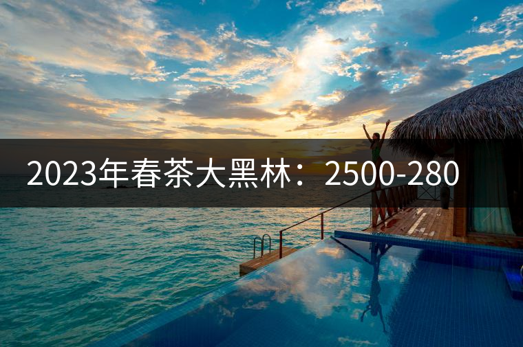 2023年春茶大黑林：2500-2800元／公斤