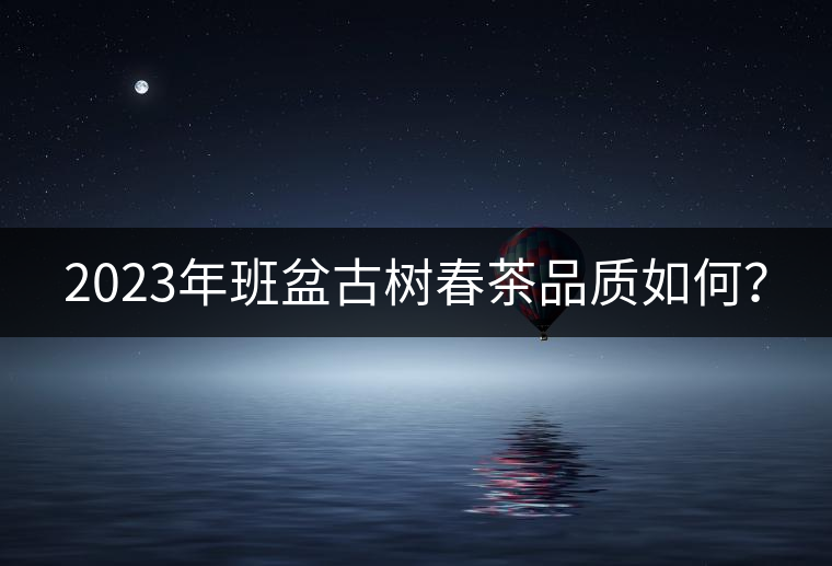 2023年班盆古樹春茶品質(zhì)如何？