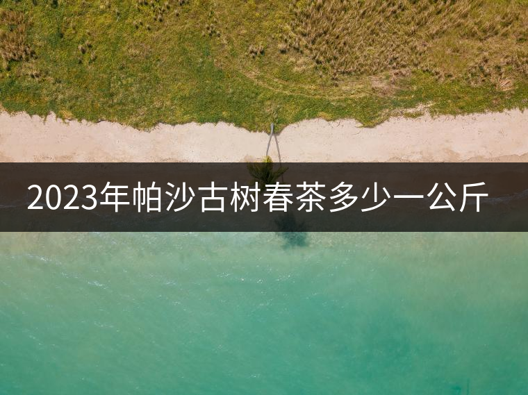 2023年帕沙古樹春茶多少一公斤？