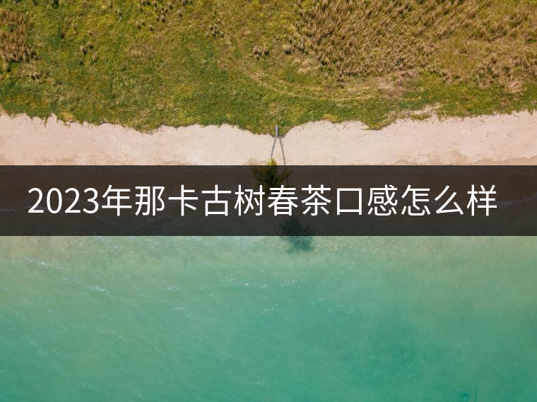 2023年那卡古樹春茶口感怎么樣? 2023年那卡古樹春茶口感怎么樣?