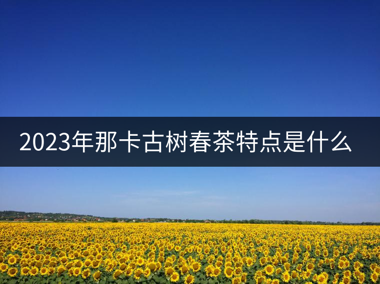 2023年那卡古樹春茶特點是什么？