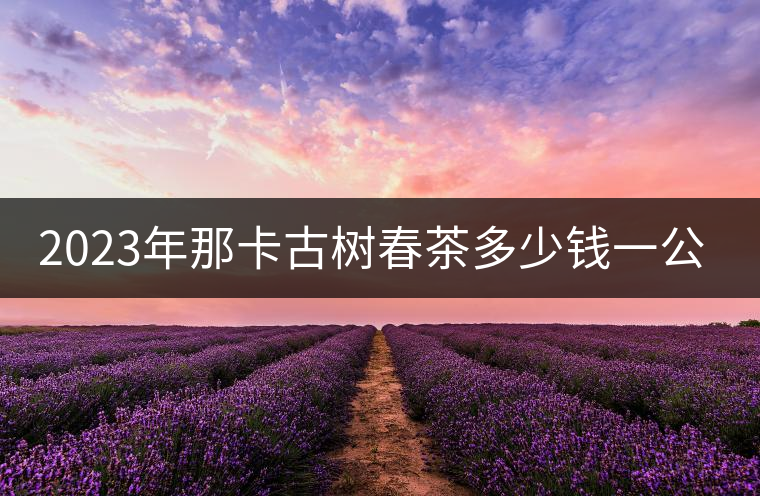 2023年那卡古樹春茶多少錢一公斤？