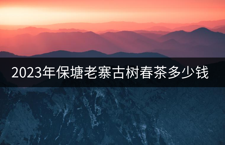 2023年保塘老寨古樹(shù)春茶多少錢一公斤？