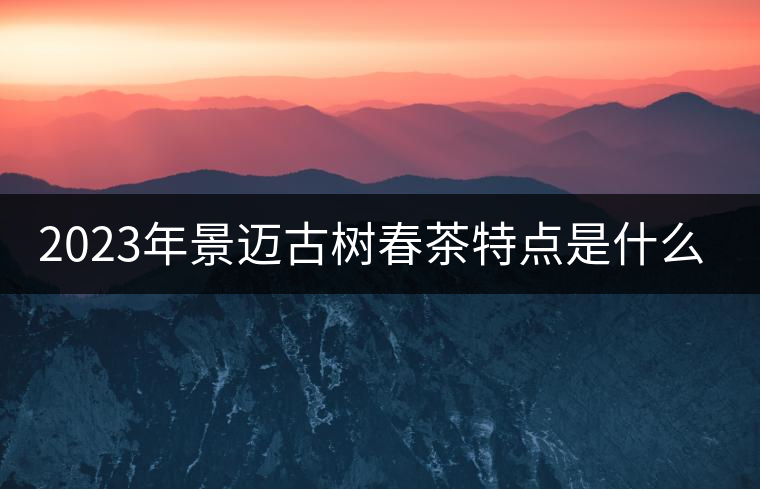 2023年景邁古樹春茶特點(diǎn)是什么？