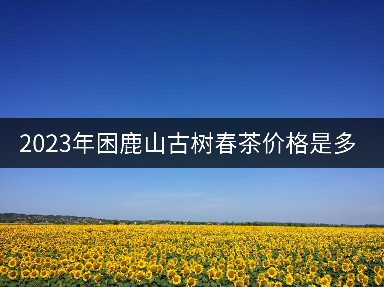2023年困鹿山古樹春茶價格是多少？