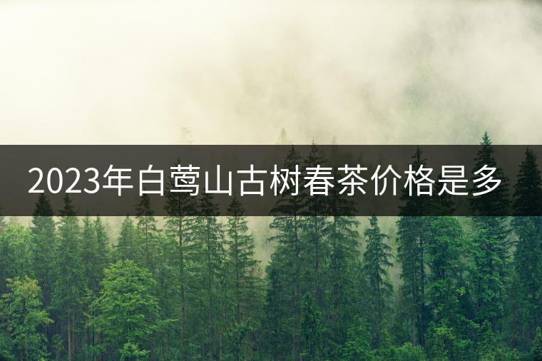 2023年白鶯山古樹春茶價(jià)格是多少？
