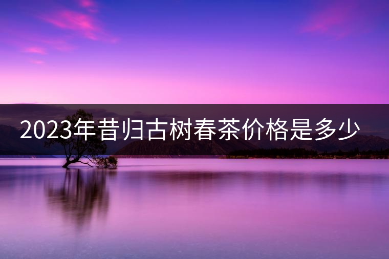2023年昔歸古樹春茶價格是多少？