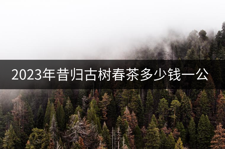 2023年昔歸古樹(shù)春茶多少錢(qián)一公斤？
