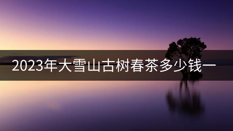2023年大雪山古樹春茶多少錢一公斤？