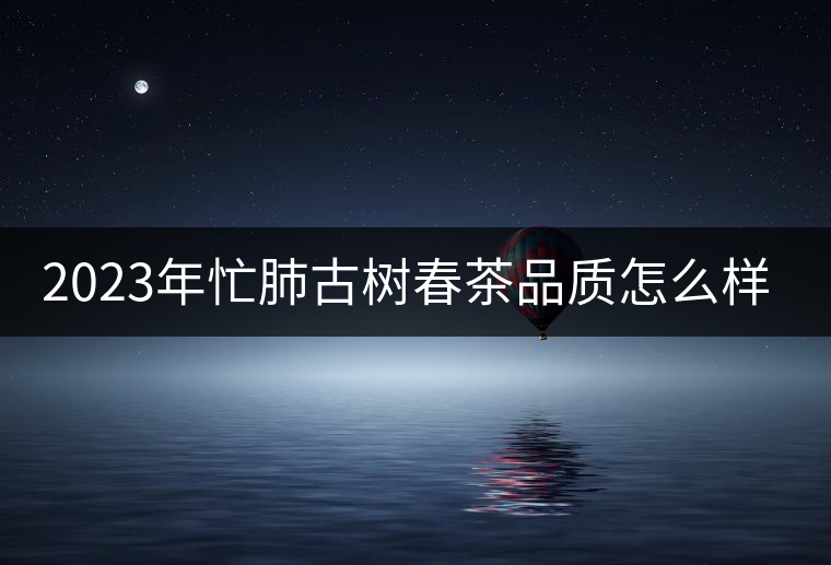 2023年忙肺古樹春茶品質(zhì)怎么樣？