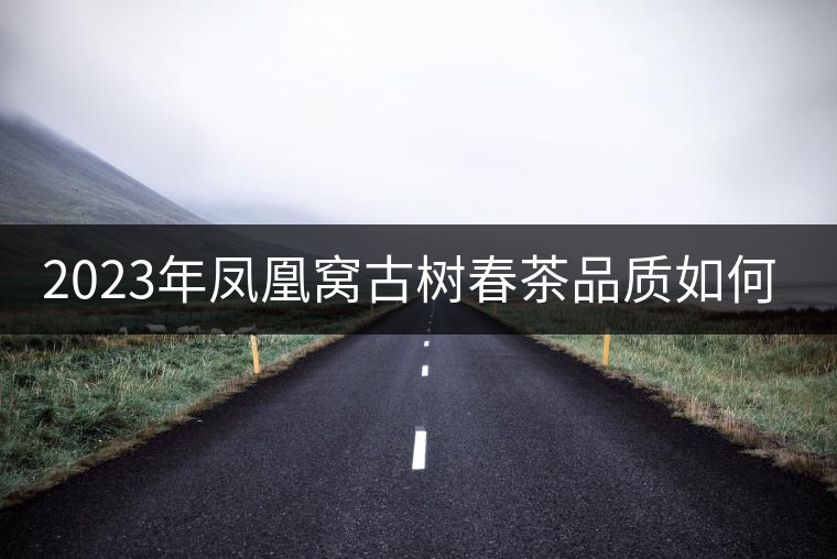 2023年鳳凰窩古樹春茶品質(zhì)如何？