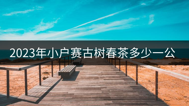 2023年小戶賽古樹春茶多少一公斤？