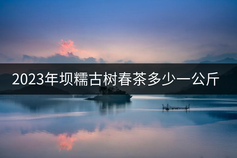 2023年壩糯古樹春茶多少一公斤？