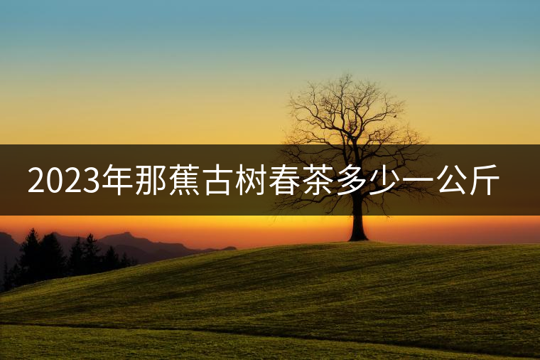 2023年那蕉古樹春茶多少一公斤？