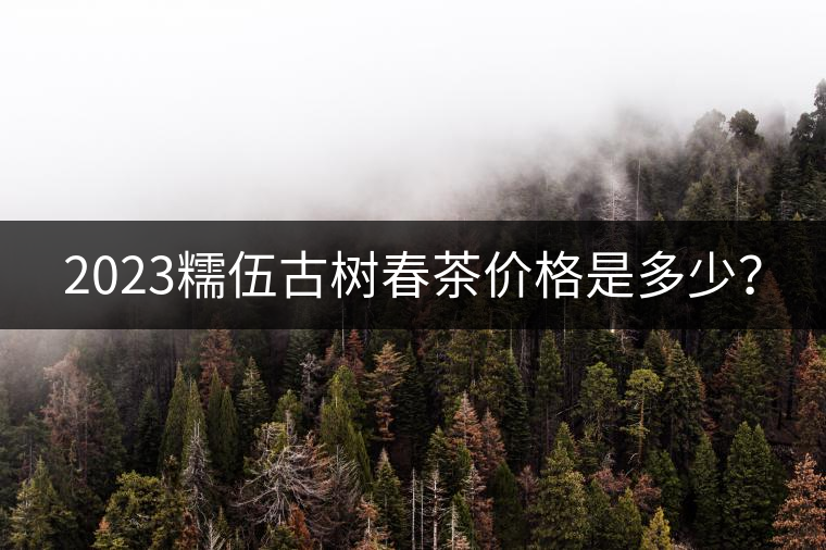 2023糯伍古樹春茶價格是多少？