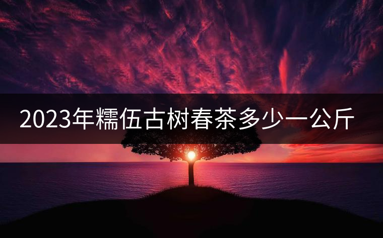 2023年糯伍古樹(shù)春茶多少一公斤？