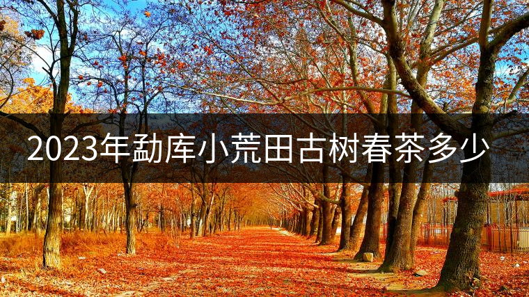 2023年勐庫小荒田古樹春茶多少一公斤？