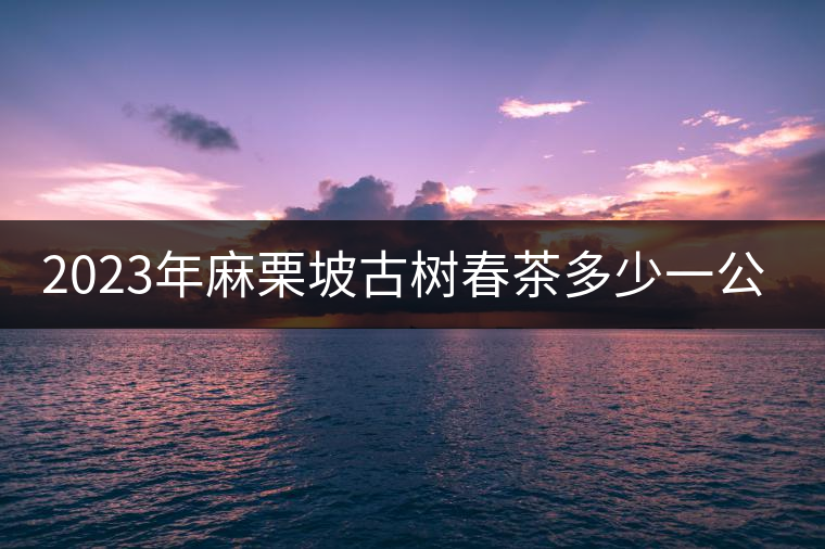 2023年麻栗坡古樹(shù)春茶多少一公斤？