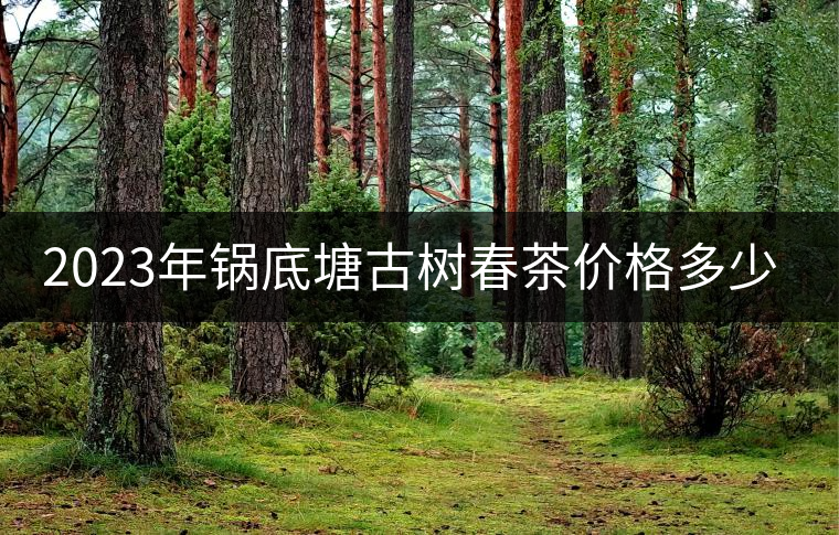 2023年鍋底塘古樹春茶價(jià)格多少？