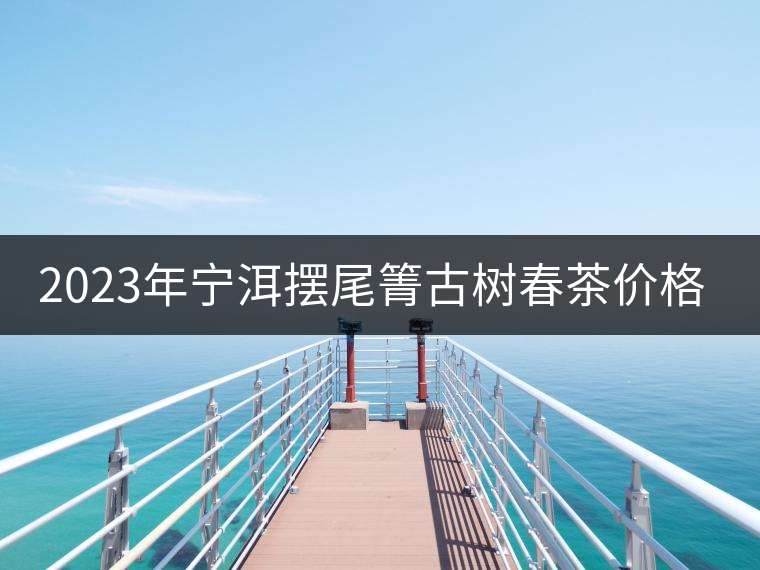 2023年寧洱擺尾箐古樹春茶價(jià)格是多少？