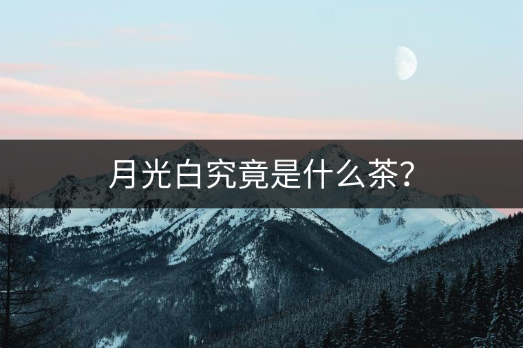 月光白究竟是什么茶？