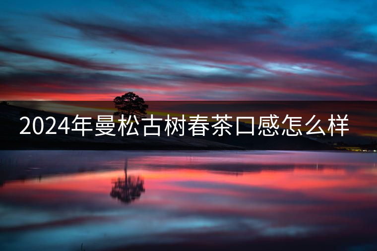 2024年曼松古樹春茶口感怎么樣？