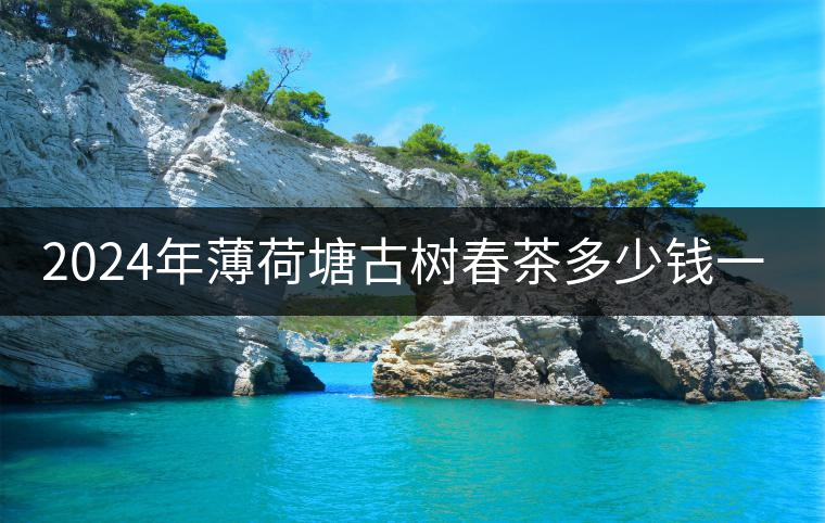 2024年薄荷塘古樹春茶多少錢一公斤？