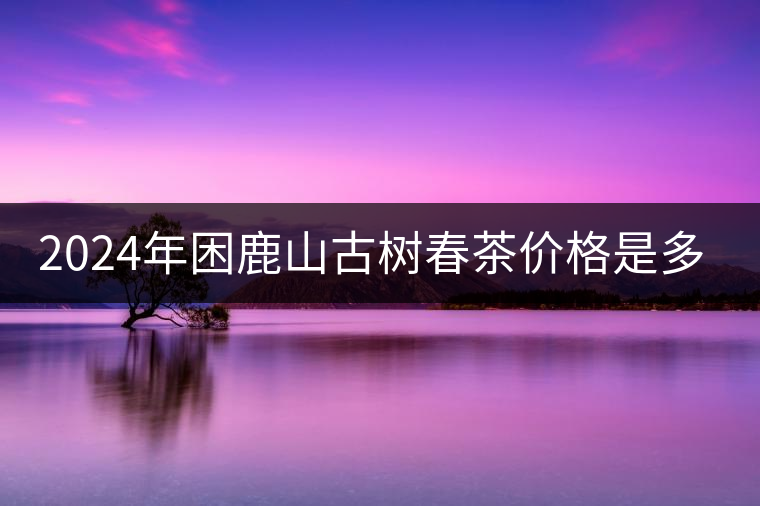 2024年困鹿山古樹春茶價(jià)格是多少？
