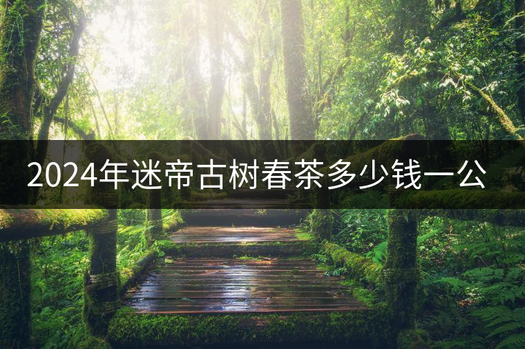 2024年迷帝古樹春茶多少錢一公斤？